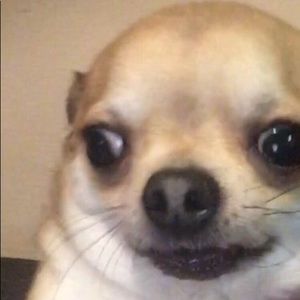 Meet your Posher, Joshua